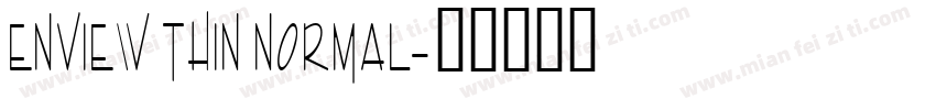 Enview Thin Normal字体转换